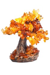Amber tree SUV000282