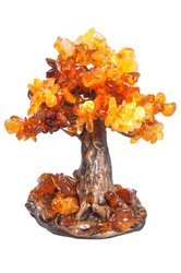 Amber tree SUV000282