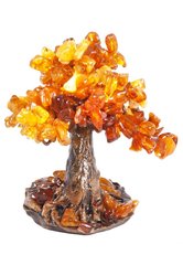 Amber tree SUV000284