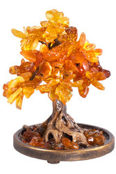 Amber tree SUV000290
