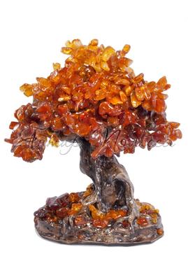 Amber tree SUV000129