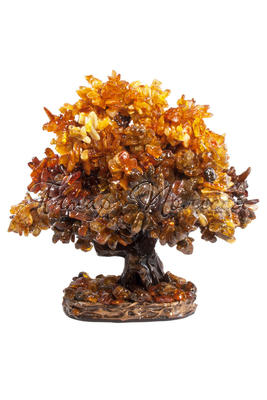 Amber tree SUV000856-015