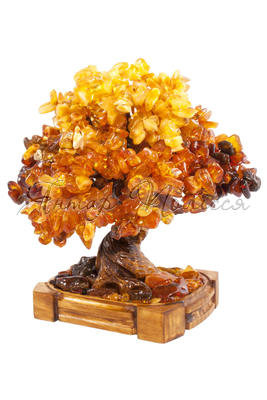 Amber tree SUV000923-002