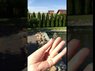 Відео огляд товару Брошка зі срібла з бурштином «Тенісна ракетка» | Янтар Полісся